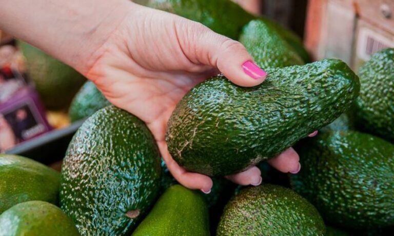 Avocado Shortage