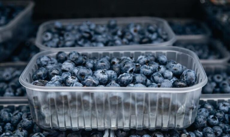 Blueberry Shortage